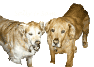 Sam and Sally